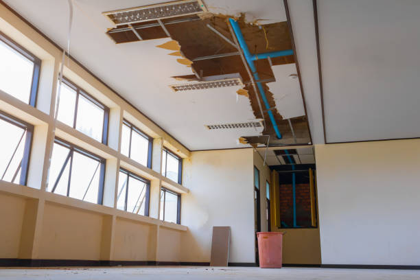 Best Water damage contractors near me  in Slaton, TX