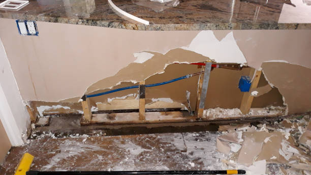 Best Professional water damage repair  in Slaton, TX