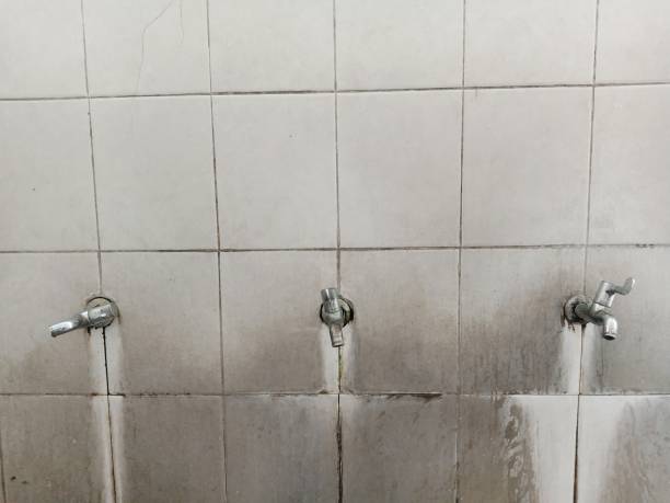 Best Water damage cleanup near me  in Slaton, TX