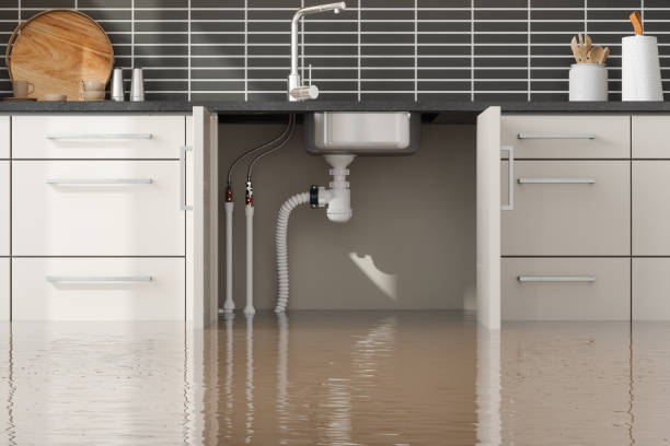 Best Water damage restoration near me  in Slaton, TX