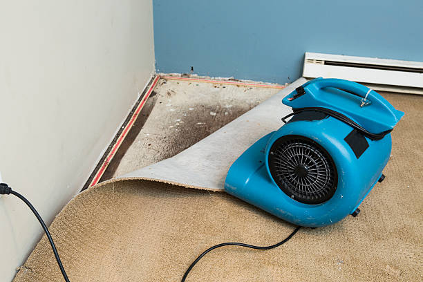 Best 24-hour water damage restoration  in Slaton, TX
